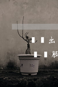 實際出資后未進行股權登記，出資人能否要求確認股東資格？